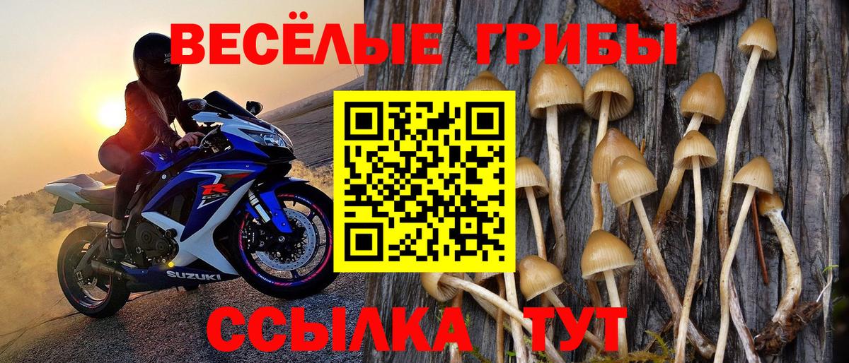 Псилоцибиновые грибы мицелий Ханты-Мансийск
