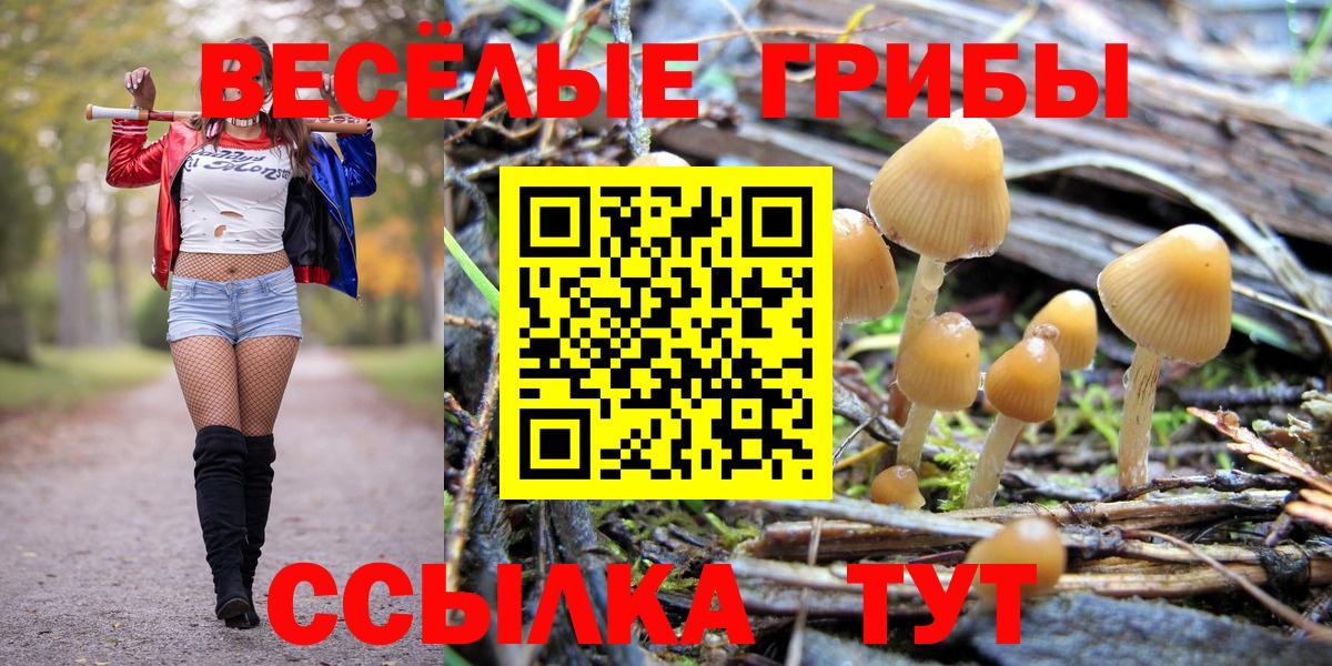 Ханты-Мансийск  Псилоцибиновые грибы GOLDEN TEACHER  Вход с VPN  Псилоцибиновые грибы GOLDEN TEACHER 